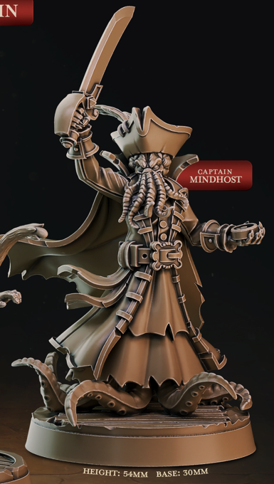 Capitaine pirate - de la série Pirate Chronicles de Cast n Play