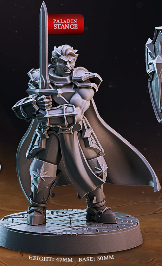 Human Paladin - Dungeon Guild - Cast n Play