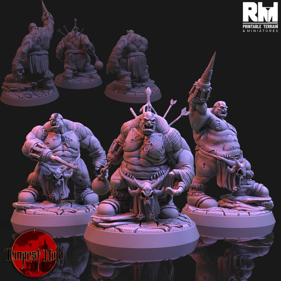 Zombie Ogres- aus der Reihe Tempest Hold