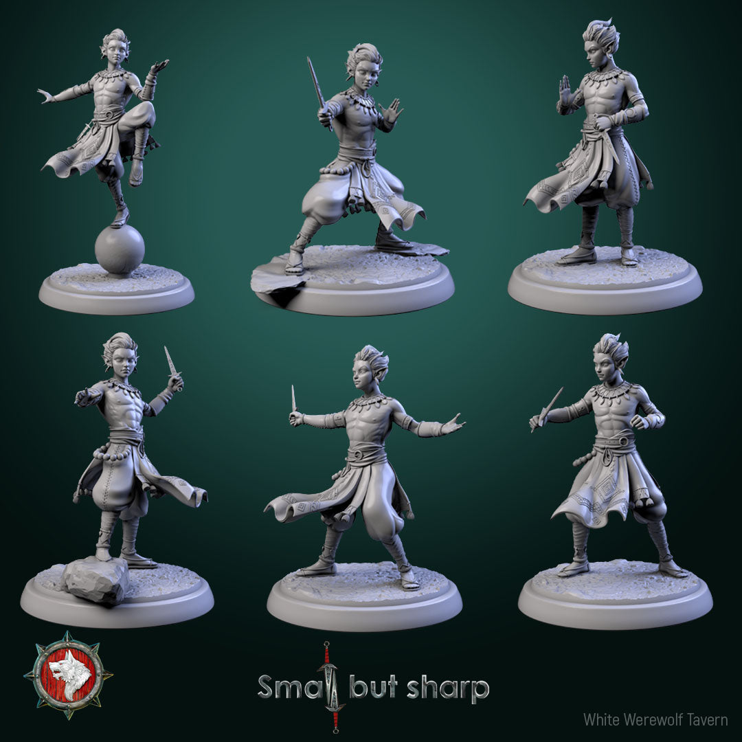 Halfling Monk - aus der Reihe Small but Sharp von White Werewolf Tavern