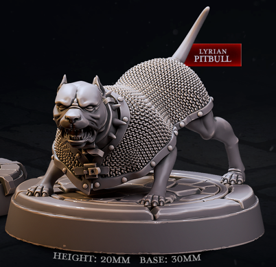 City Guard Companions - City Guards - Cast n Play