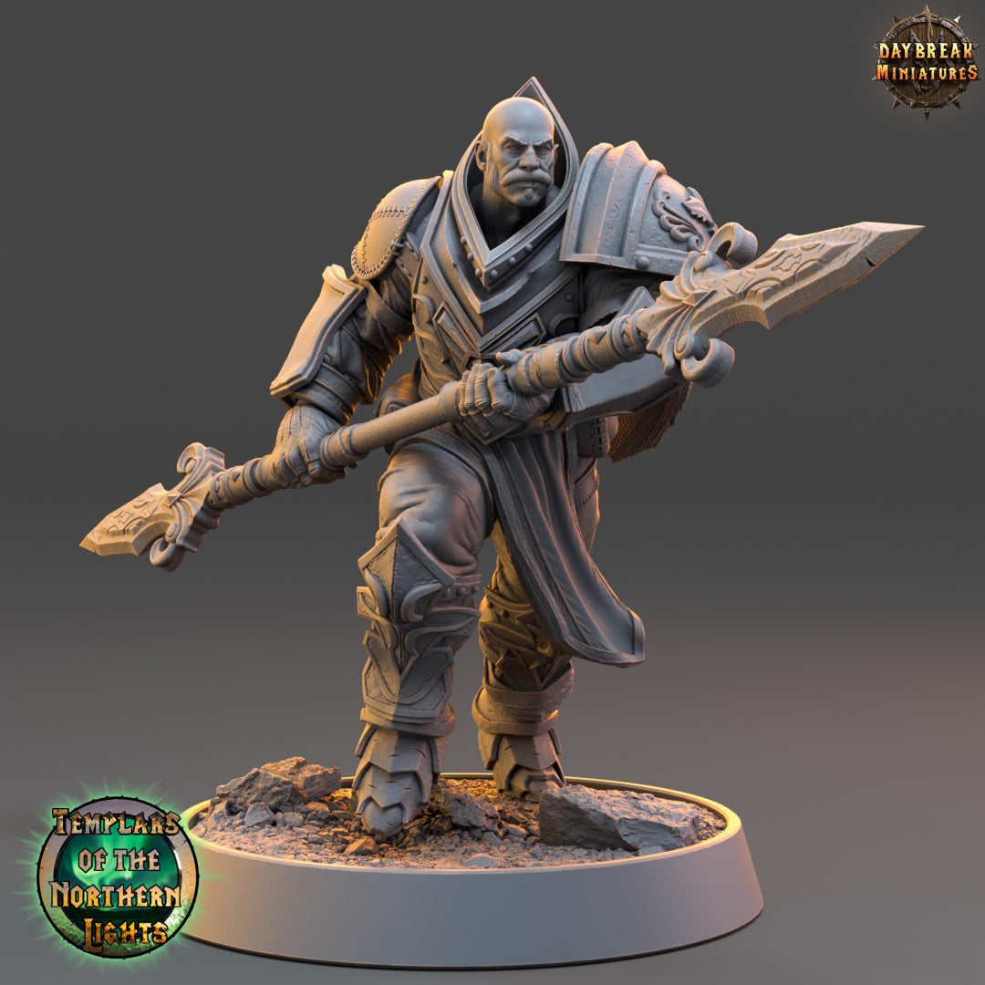 Kämpfer -  aus der Reihe Templars of the Northern Lights von Daybreak Miniatures